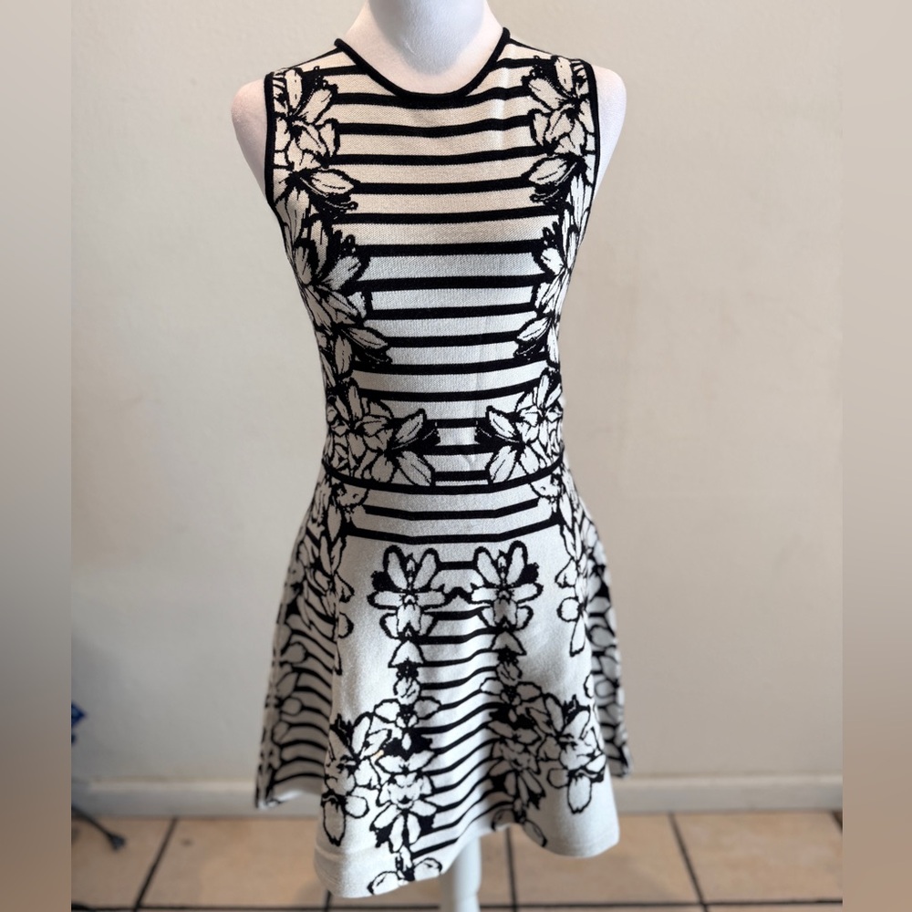 Eliza J Black White Floral Striped Fit & Flare Dress Size S